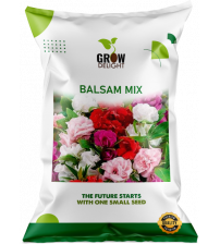 Grow Delight Imported Balsam Mix 100 Seeds Grow Delight Imported Balsam Mix 100 Seeds